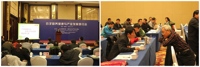 小米回歸主糧指日可待 谷子產(chǎn)業(yè)發(fā)展前景無限