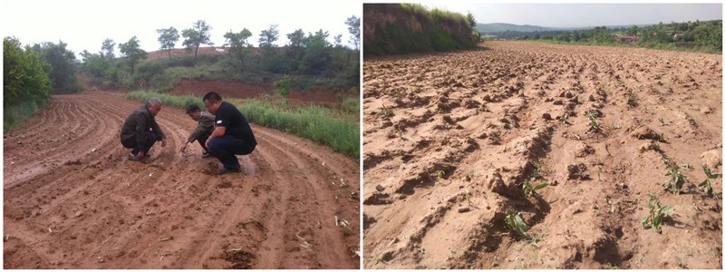 天災無情人有情